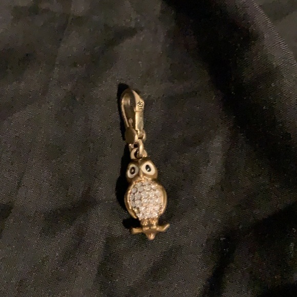 Juicy Couture Jewelry - Juicy couture owl charm